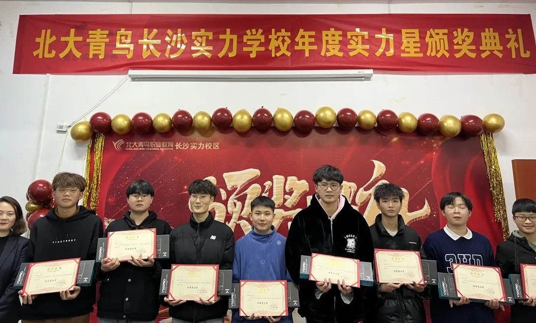 长沙北大青鸟实力学校